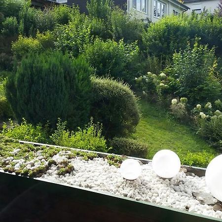 Ferienwohnung Am Paradies Bad Lauterberg Oda fotoğraf