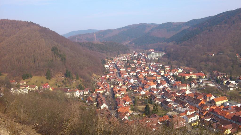 Ferienwohnung Am Paradies Bad Lauterberg Dış mekan fotoğraf