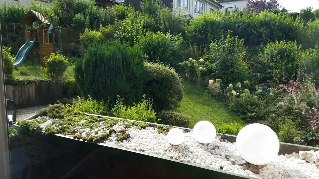 Ferienwohnung Am Paradies Bad Lauterberg Oda fotoğraf