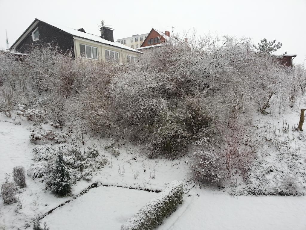 Ferienwohnung Am Paradies Bad Lauterberg Dış mekan fotoğraf