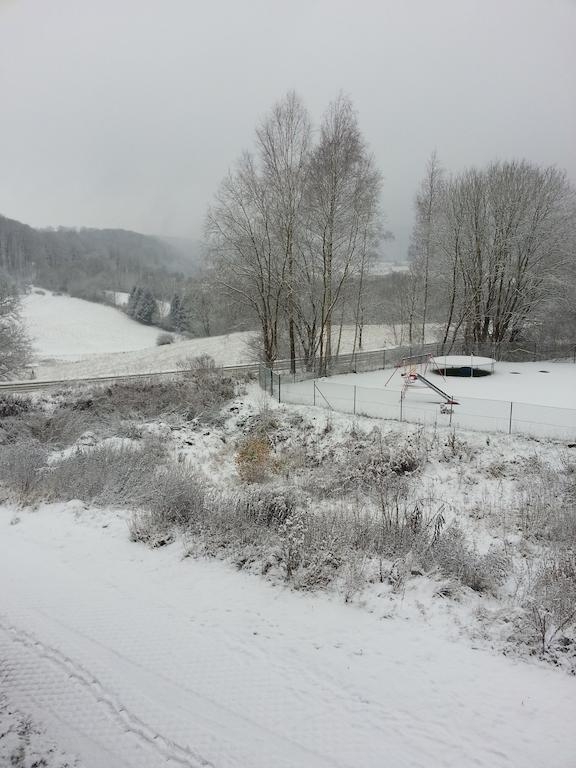 Ferienwohnung Am Paradies Bad Lauterberg Dış mekan fotoğraf